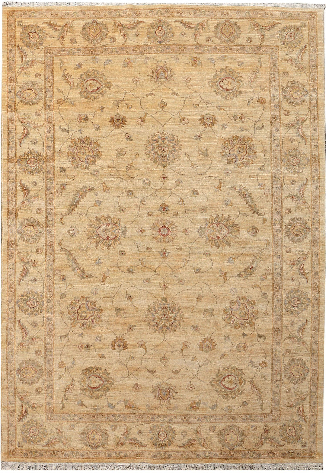 Ziegler 6' 5 x 9' 9 - No. 39842 - ALRUG Rug Store