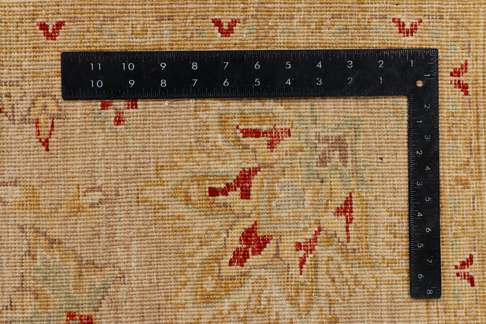 Firebrick Ziegler 9' 8 x 12' 5 - No. 39887 - ALRUG Rug Store