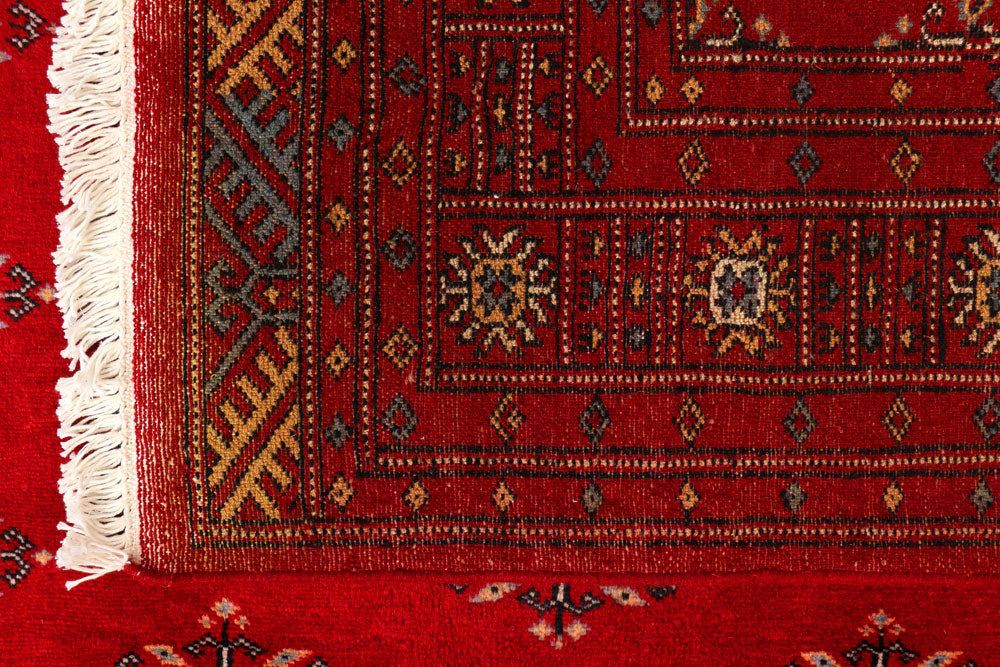 Firebrick Butterfly 4' 1 x 5' 10 - No. 41055 - ALRUG Rug Store
