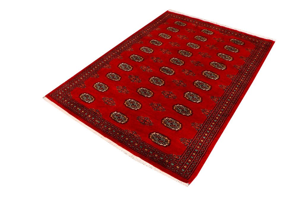 Bokhara 4' 2 x 5' 9 - No. 41064 - ALRUG Rug Store