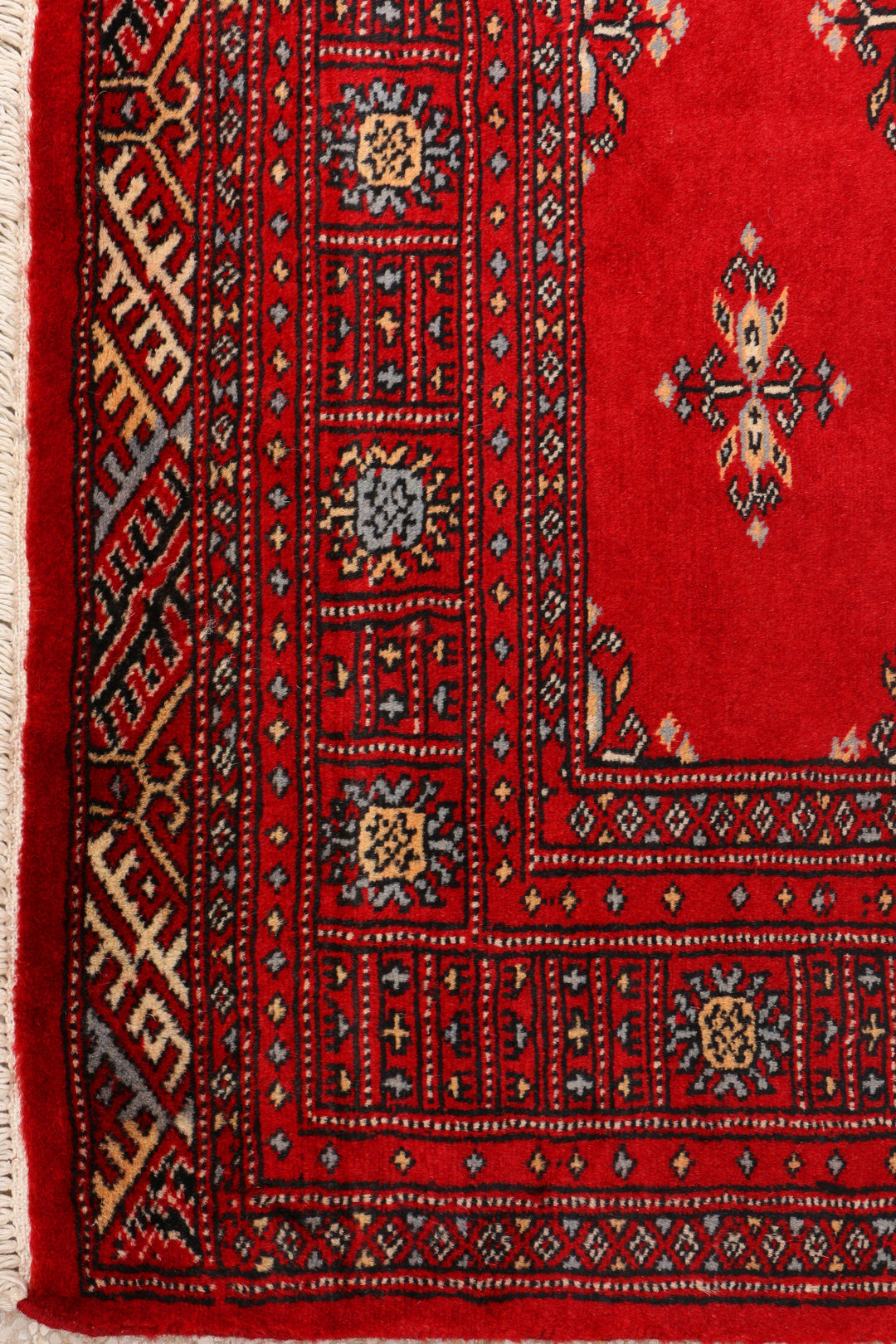 Butterfly 4' 2 x 6' 5 - No. 41278 - ALRUG Rug Store