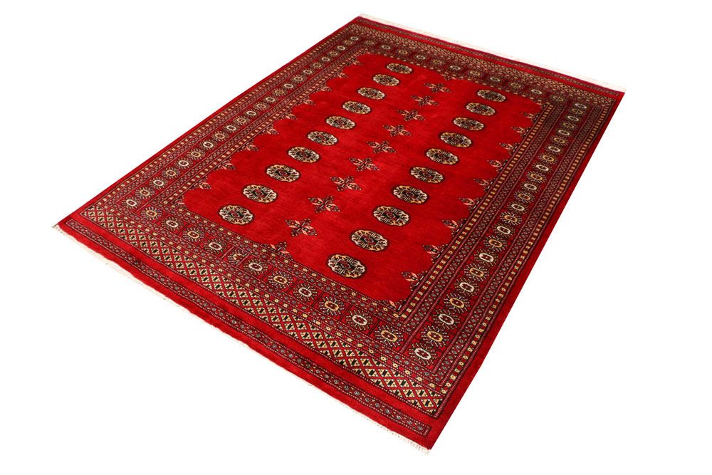 Bokhara 4' 7 x 5' 11 - No. 41319 - ALRUG Rug Store