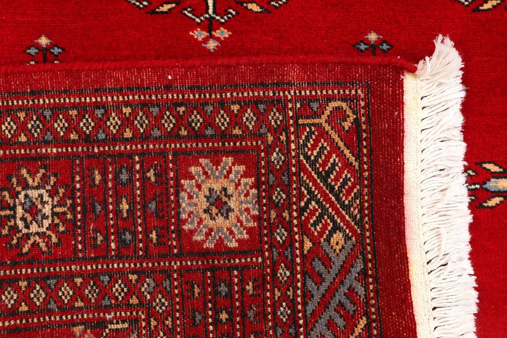 Butterfly 2' 11 x 5' 1 - No. 43983 - ALRUG Rug Store