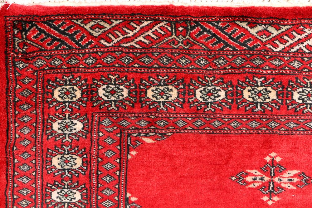 Butterfly 3' 2 x 5' 2 - No. 44187 - ALRUG Rug Store