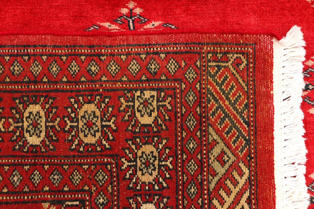 Butterfly 3' 2 x 5' 2 - No. 44187 - ALRUG Rug Store