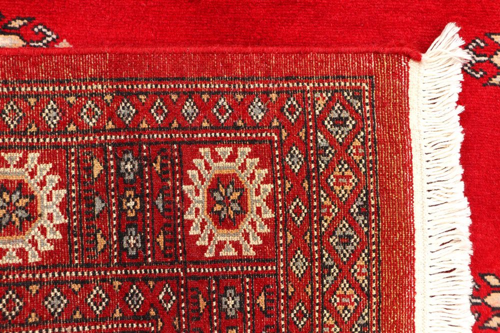 Butterfly 3' 1 x 4' 11 - No. 44189 - ALRUG Rug Store