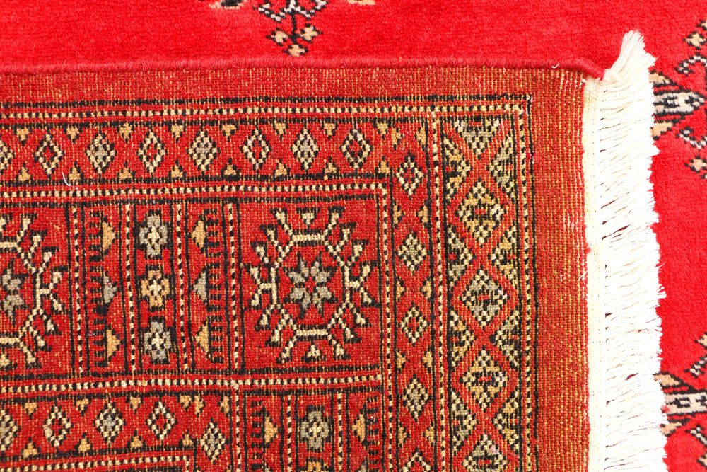Butterfly 3' 2 x 5' 2 - No. 44191 - ALRUG Rug Store