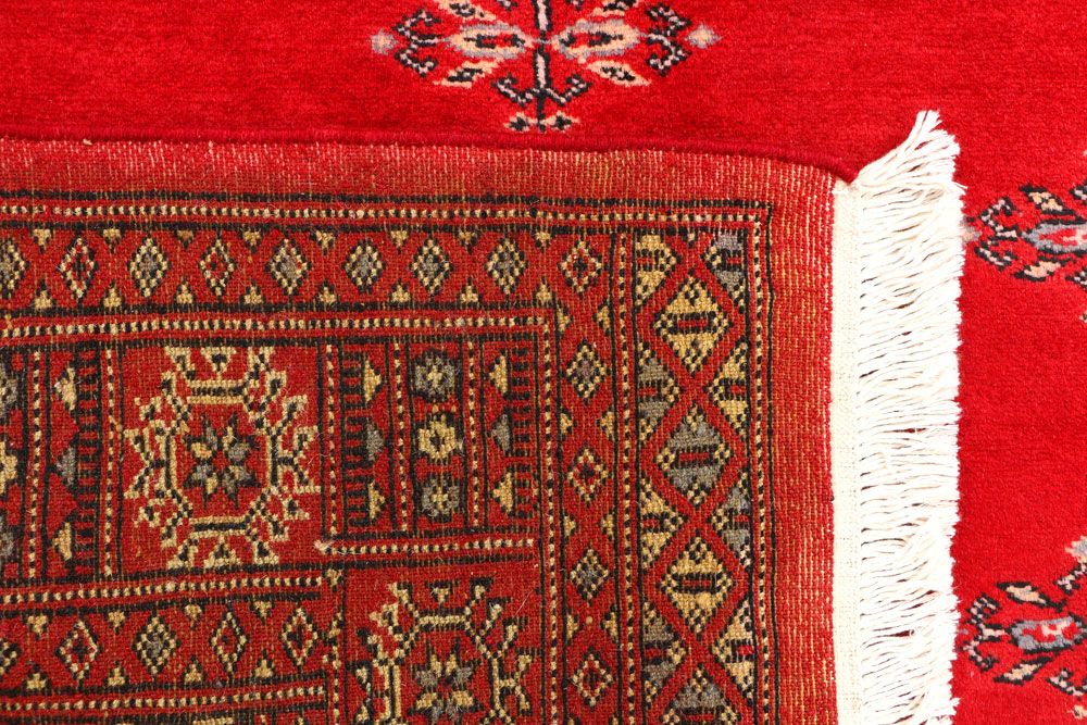 Butterfly 3' 1 x 5' 3 - No. 44194 - ALRUG Rug Store