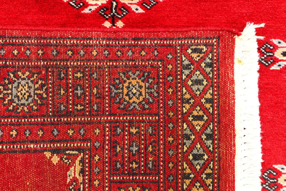 Butterfly 2' 11 x 4' 11 - No. 44215 - ALRUG Rug Store
