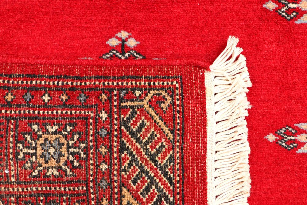 Butterfly 2' 6 x 3' 10 - No. 44413 - ALRUG Rug Store