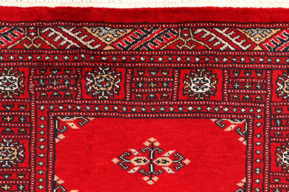 Butterfly 2' 7 x 4' 1 - No. 44552 - ALRUG Rug Store