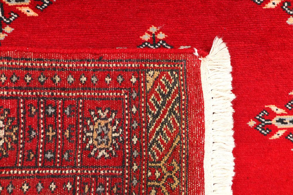 Butterfly 2' 7 x 4' 1 - No. 44552 - ALRUG Rug Store