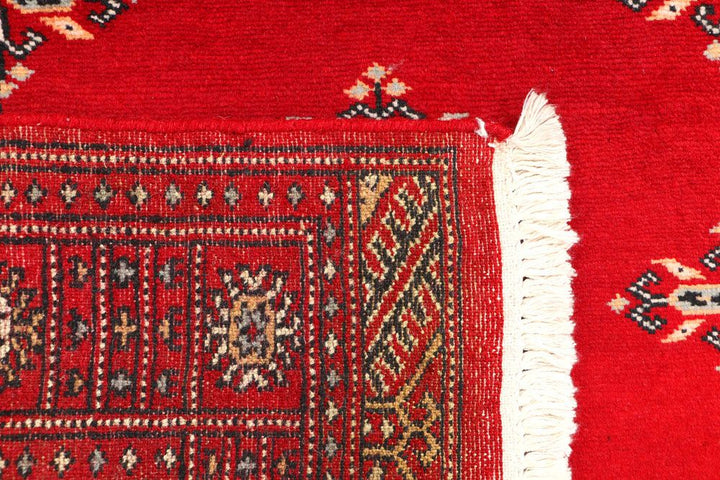 Butterfly 2' 7 x 4' 1 - No. 44552 - ALRUG Rug Store