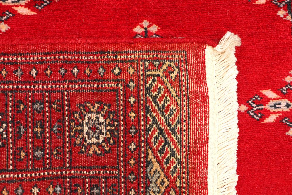 Butterfly 2' 7 x 3' 10 - No. 44557 - ALRUG Rug Store