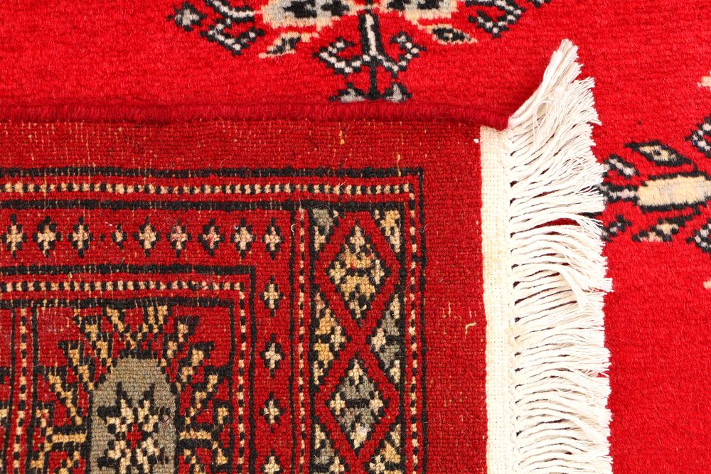 Butterfly 2' 7 x 4' 1 - No. 44565 - ALRUG Rug Store