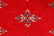 Butterfly 2' 6 x 4' 3 - No. 44569 - ALRUG Rug Store