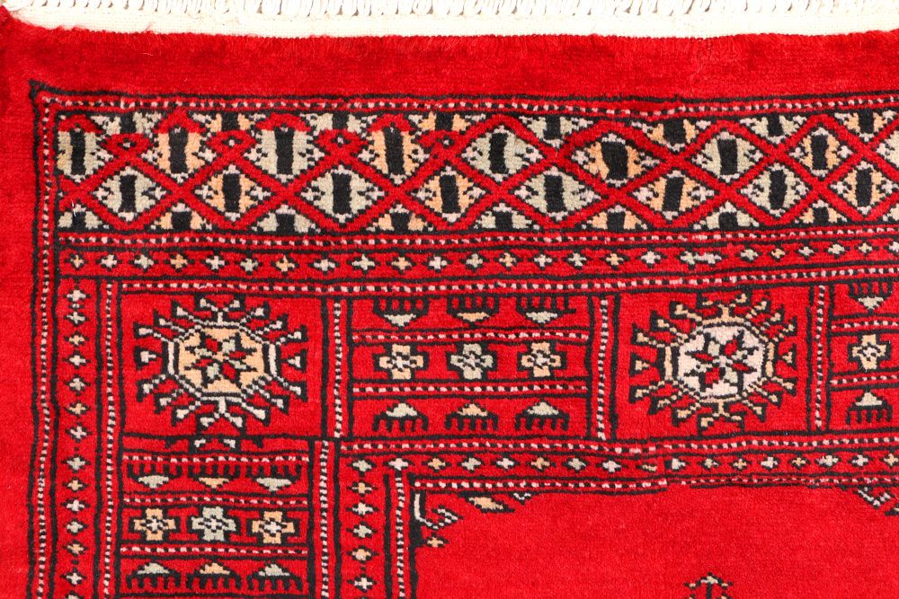 Butterfly 2' 7 x 3' 11 - No. 44578 - ALRUG Rug Store