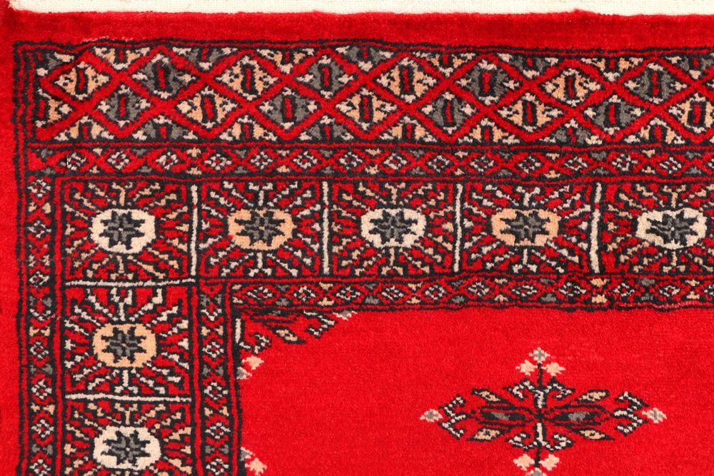Butterfly 2' 7 x 3' 11 - No. 44585 - ALRUG Rug Store