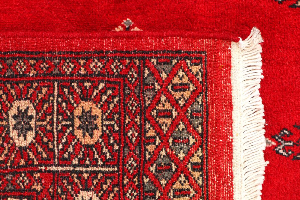Butterfly 2' 7 x 3' 11 - No. 44585 - ALRUG Rug Store