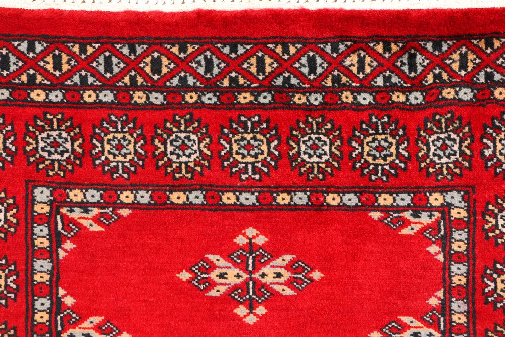Butterfly 2' 7 x 4' - No. 44605 - ALRUG Rug Store