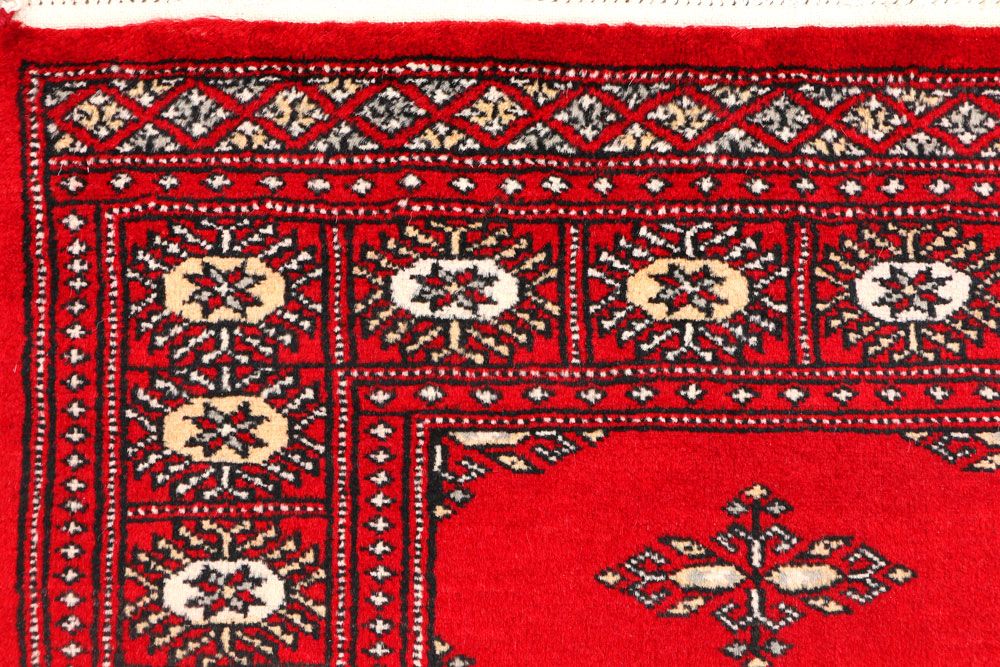 Butterfly 2' 7 x 4' - No. 44617 - ALRUG Rug Store