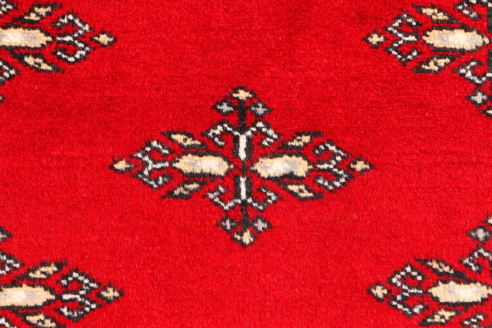 Butterfly 2' 7 x 4' - No. 44617 - ALRUG Rug Store