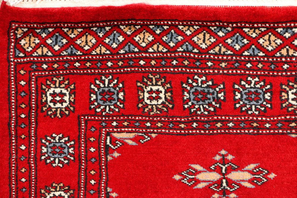 Butterfly 2' 7 x 4' 1 - No. 44619 - ALRUG Rug Store
