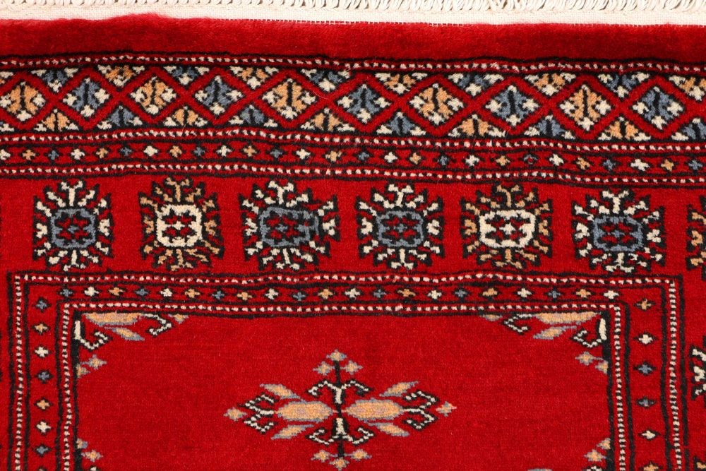 Butterfly 2' 7 x 4' 1 - No. 44619 - ALRUG Rug Store