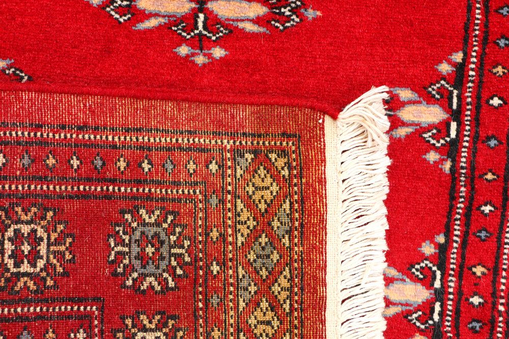 Butterfly 2' 7 x 4' 1 - No. 44619 - ALRUG Rug Store