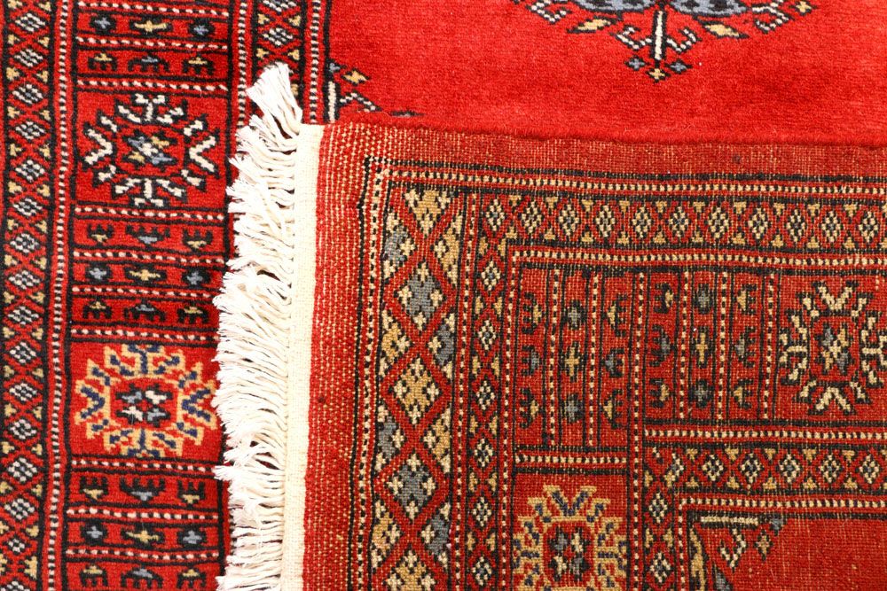 Butterfly 2' 6 x 7' 8 - No. 45154 - ALRUG Rug Store