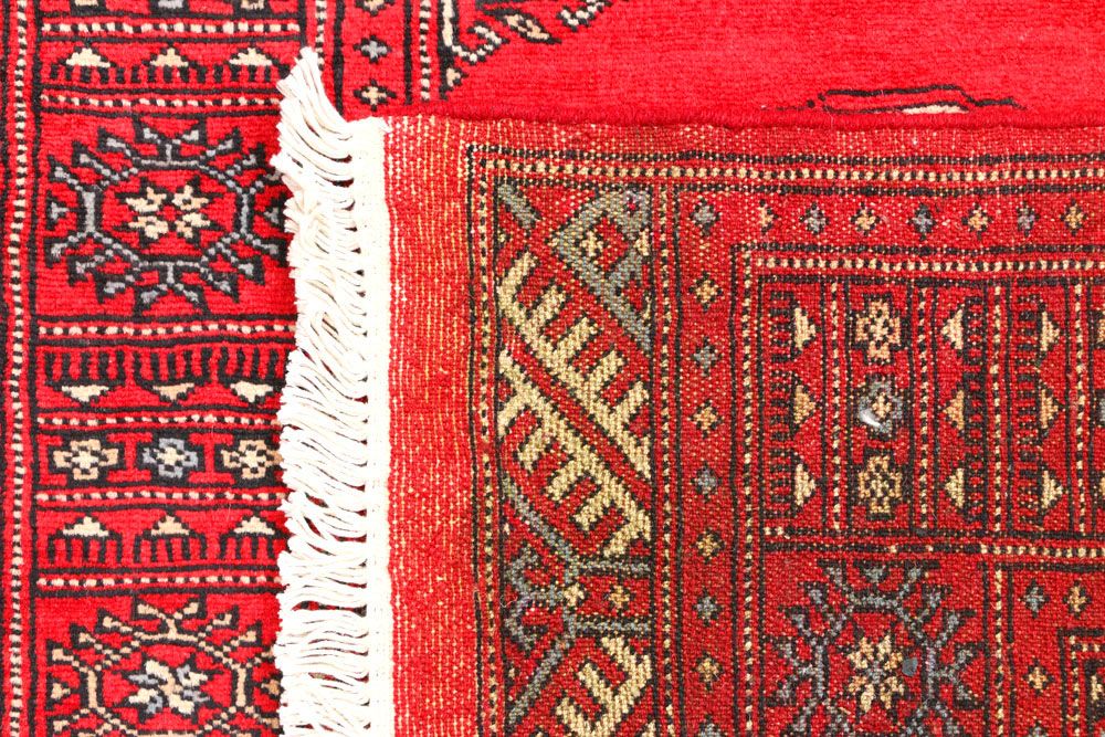 Bokhara 2' 6 x 8' 2 - No. 45254 - ALRUG Rug Store