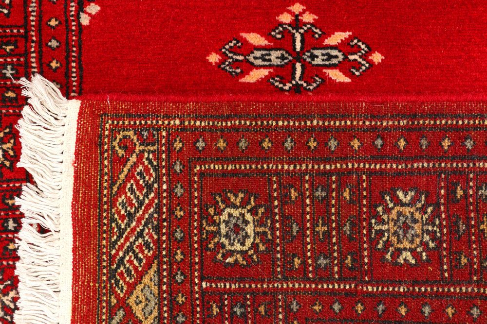 Butterfly 2' 7 x 8' 7 - No. 45373 - ALRUG Rug Store