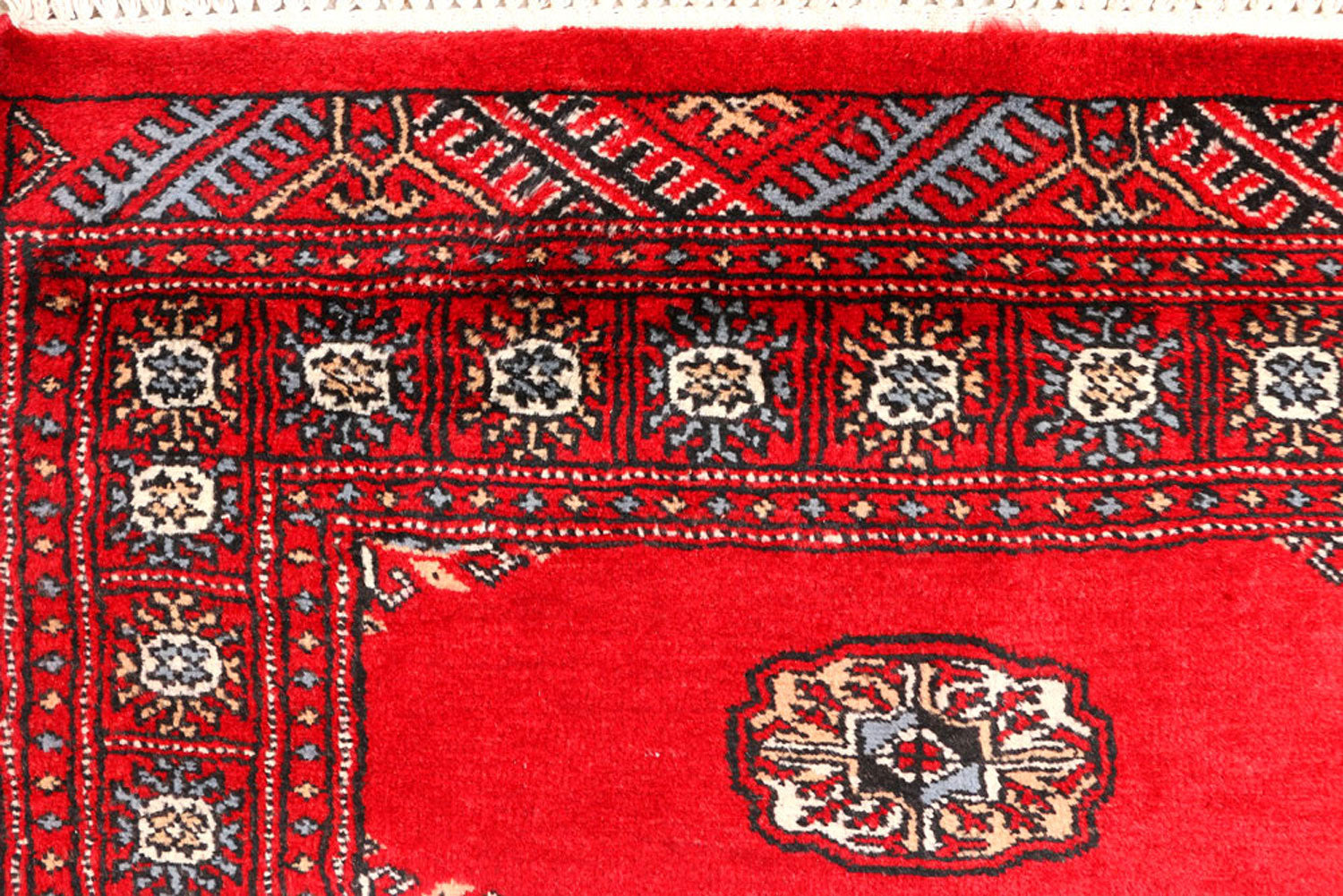 Get Best quality handmade Pakistani Rugs and Carpets Online | Alrug