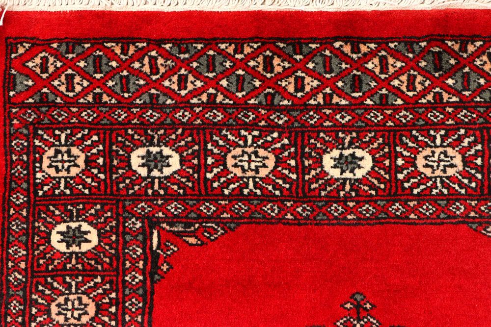 Butterfly 2' 6 x 9' 11 - No. 45481 - ALRUG Rug Store