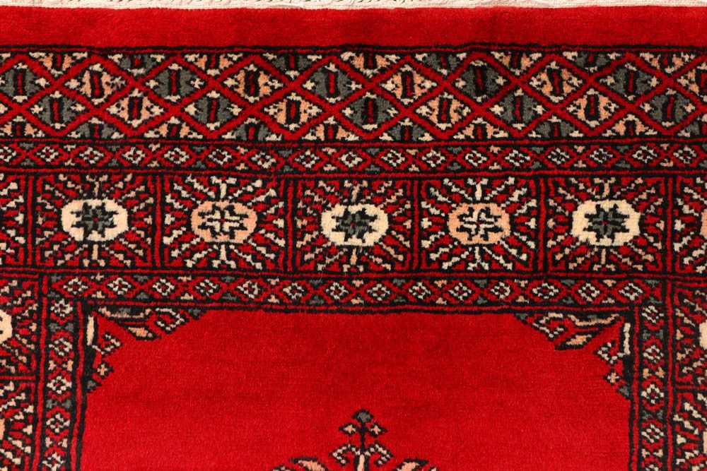 Butterfly 2' 6 x 9' 11 - No. 45481 - ALRUG Rug Store
