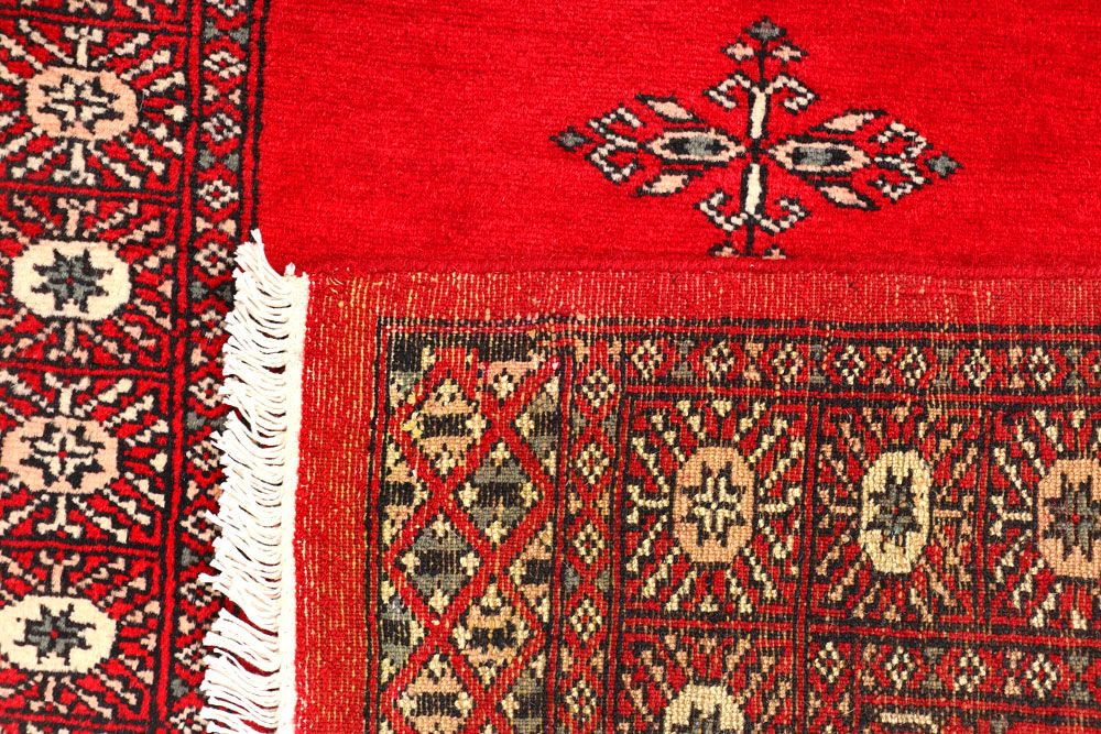 Butterfly 2' 6 x 9' 11 - No. 45481 - ALRUG Rug Store