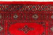 Butterfly 2' 6 x 9' 10 - No. 45565 - ALRUG Rug Store