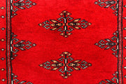 Butterfly 2' 6 x 9' 10 - No. 45565 - ALRUG Rug Store