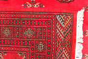 Red Bokhara 4' 6 x 6' 6 - No. 45843 - ALRUG Rug Store
