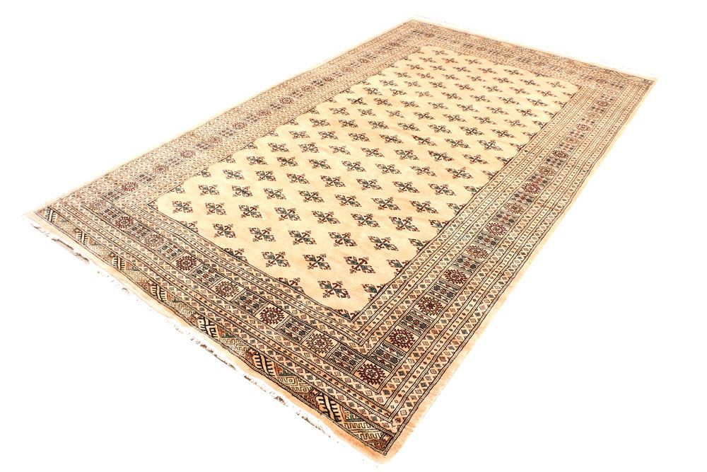 Butterfly 6' 5 x 10' 7 - No. 46021 - ALRUG Rug Store