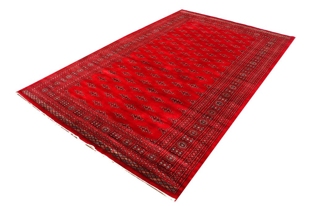 Butterfly 6' 8 x 10' 6 - No. 46038 - ALRUG Rug Store