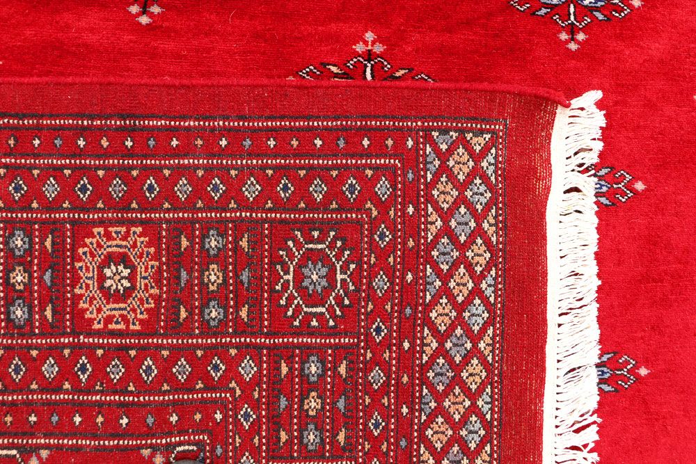 Butterfly 6' 8 x 10' 2 - No. 46104 - ALRUG Rug Store