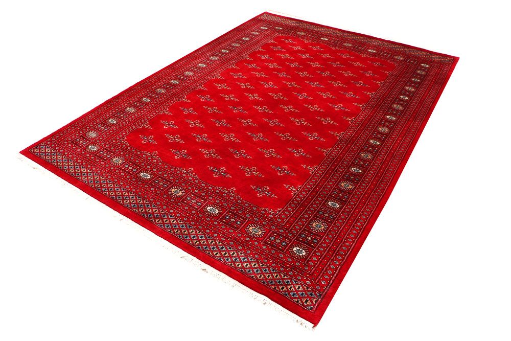 Butterfly 6' 7 x 9' 4 - No. 46118 - ALRUG Rug Store