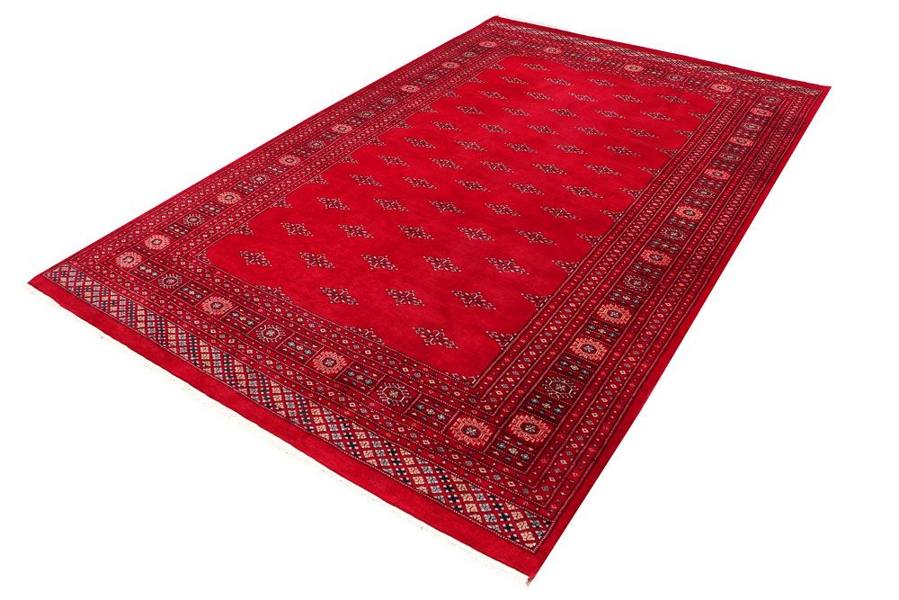 Butterfly 6' 8 x 10' 2 - No. 46165 - ALRUG Rug Store