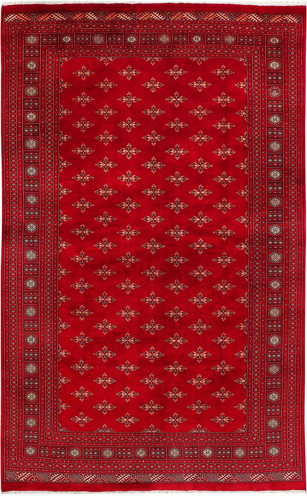 Butterfly 6' 5 x 10' 4 - No. 46166 - ALRUG Rug Store