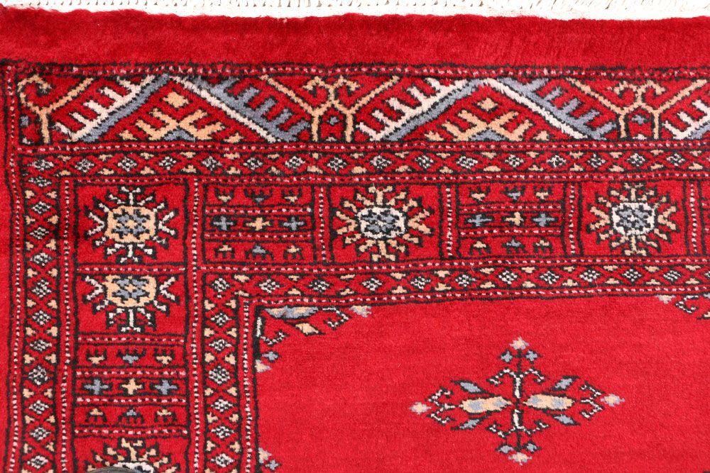 Butterfly 2' 7 x 4' 1 - No. 46351 - ALRUG Rug Store