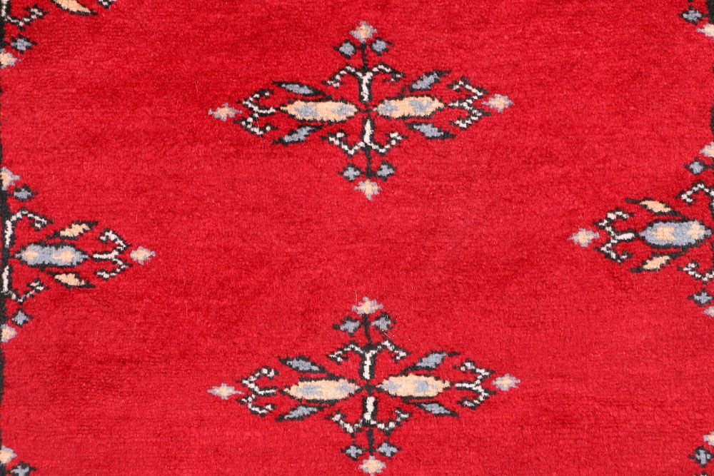 Butterfly 2' 7 x 4' 1 - No. 46351 - ALRUG Rug Store