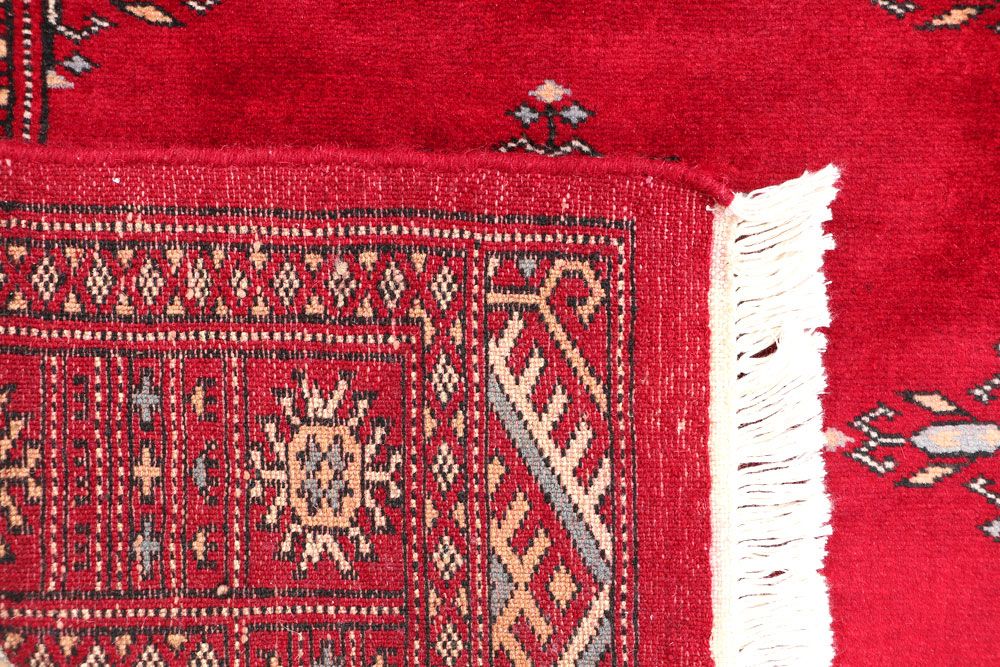 Butterfly 2' 7 x 4' 2 - No. 46366 - ALRUG Rug Store