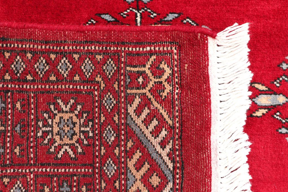 Butterfly 2' 7 x 4' 2 - No. 46382 - ALRUG Rug Store