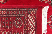 Butterfly 2' 6 x 3' 11 - No. 46446 - ALRUG Rug Store